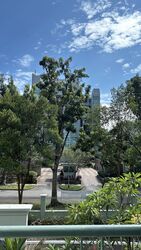 Merawoods (D23), Condominium #507280201